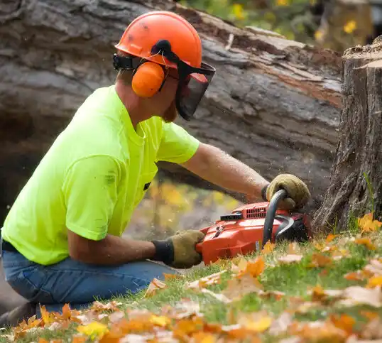 tree services Ruleville